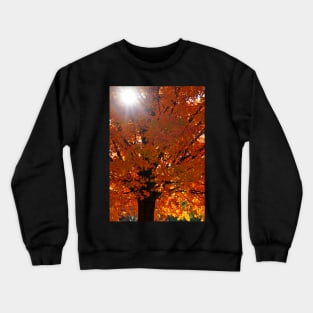 Vertical Autumn Orange Maple Tree Crewneck Sweatshirt